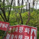 평화강변수목캠핑장 이미지