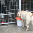 마냐나코리아 이미지