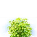 대구종로초등학교 이미지