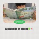 [서평] 식물원에서 온 초대장 – 우리 아이와 함께 떠난 초록빛 탐험