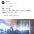 [Mht🤵🏻👰🏼‍♀️💍 2주 발리 신혼여행 9일차] 드디어 길리!! 지옥의 세마야원/semaya one/길리가성비숙소...