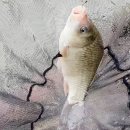발랑낚시터 이미지