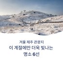 설국농장 | 겨울 제주 관광지, 이 계절에만 더욱 빛나는 명소 추천 6선