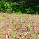지리산금종영농조합법인 이미지