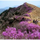 4월 3일(수) 화왕산 경남/창녕 758m 산행예약^^ 이미지