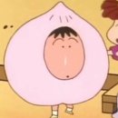 복자네 | 복겟팅 복자네 복숭아 마도카 내돈내산 주문 후기