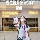 나눔골프 | 인도네시아 이심 esim 링심 추천, 바탐 골프여행 사용 후기