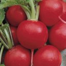 파란농장 이미지