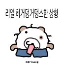 NR-47[금강로]-하-2 | 🍂+🎄의 계절 11월