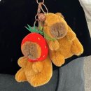 필레오 이미지