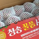 유애플 이미지