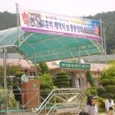 낙산초등학교 이미지