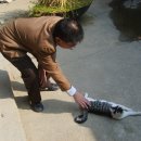 이목중학교 이미지