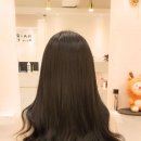 진헤어캐슬