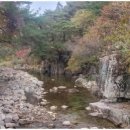 꽃피는산골민박 이미지