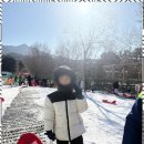 경희유아태권도 이미지