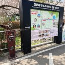 충무동행정복지센터 이미지