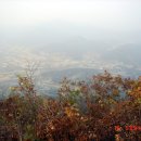 힐튼장여관 이미지