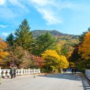 보은 이미지