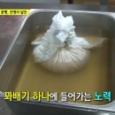 이가꽈배기 이미지