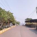 하례망장포로 이미지