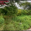 원산보건진료소 이미지