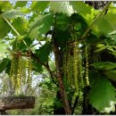 올림픽공원역 이미지