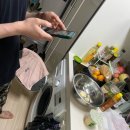 여지니 | 2025년도 서른다섯 번째 글