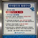 형제상회 노량진 수산시장 횟집 온라인몰 모둠회 방문 포장 후기