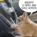 대성장의개발