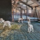 동선2목장 이미지