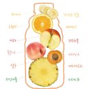 2일 단식 디톡스, 헐리우드48 내돈내산 솔직후기 (-1.4kg)
