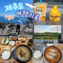 오조리-7 | 2박3일 제주도 동쪽 여행코스(우진해장국-어영마을-귤메달하우스-오조리비앤비) 1일차 기록