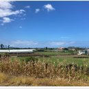 스테이해봄 이미지