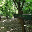 목동커피 이미지