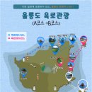 더블유쇼핑