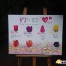 4월 튤립축제 한림공원 : 아이와함께 하는 제주여행
