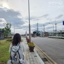 씨스타1호 | 울릉도 가는방법 배편 묵호항 씨스포빌 씨스타 예매 준비물 멀미약없이