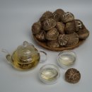 봄맞이 표고농장 이미지