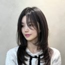 에이보