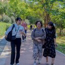 따시리 이미지