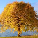 대우행정사사무소 이미지