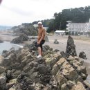 바다와소나무 펜션 Daum카페