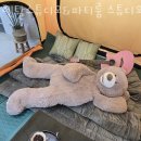 서울파티룸 렌탈스튜디오&amp;파티룸 스튜디오 코시 방문자 후기