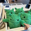 805 | 토익 805점 후기