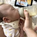 B11-1 | [B11] 배앓이 속역류 위드맘제왕100 분유 갈아타기(+압타밀 피드시크너 후기)