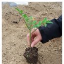 우민농장 이미지