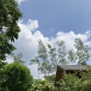 무릉도원면-42 이미지