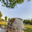 홍가떡 | 홍가아트 핸드메이드 제품 후기 - 나의 피부질환의 구원자.