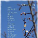 2016 해인수녀님의 봄소식 이미지
